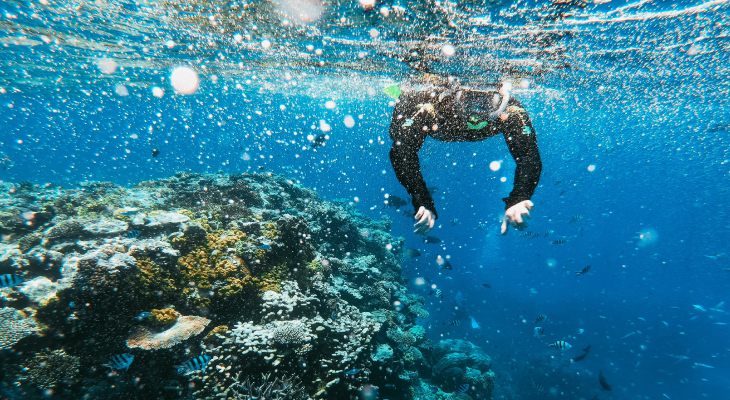 Cairns Snorkelling