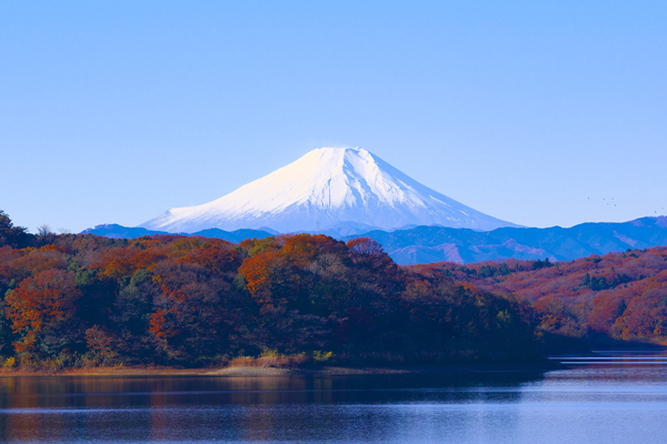 Japan_600x400