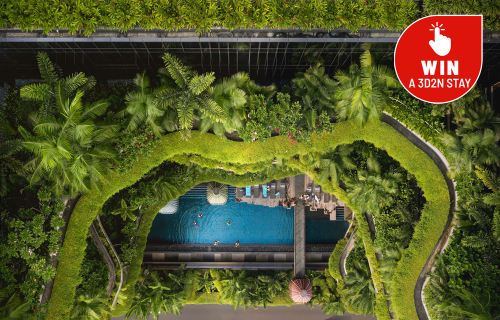 Dec Promotions Banner