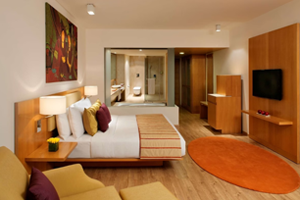 Radisson-Blu-Plaza-Hotel-Hyderabad-Banjara-Hills